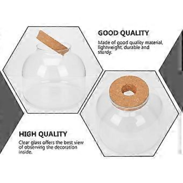1 Set Glas Terrarium Behållare DIY Ekologisk Växtflaska Glas Växtterrarium