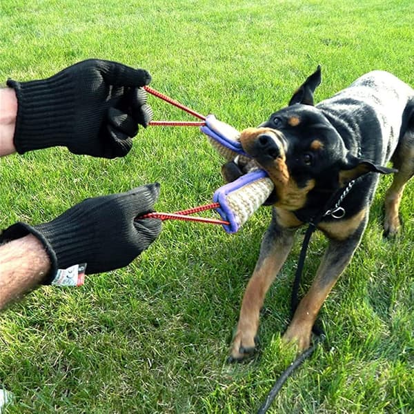 Hunde bide legetøj, hund bide legetøj, hundelegetøj, bide træk til mellemstore