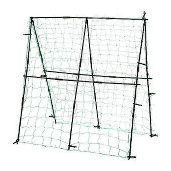 Agurke espalier robust til agurk tomat drue højbed klatreplanter