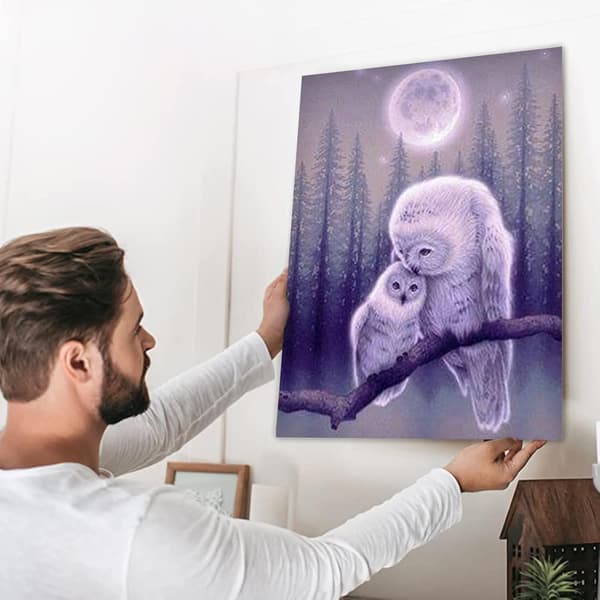 30*40cm Timanttimaalaus Satu-eläimet, Timanttipeli Pöllö Pöllö Diam