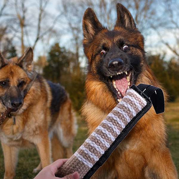Boudin à mordre jouet pour chien, boudin mordant, boudins chien, J