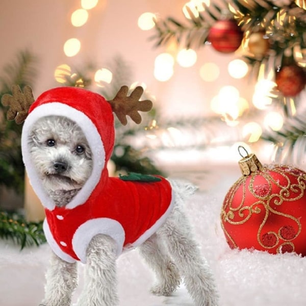Julkläder för hund, tomtekläder söt ren
