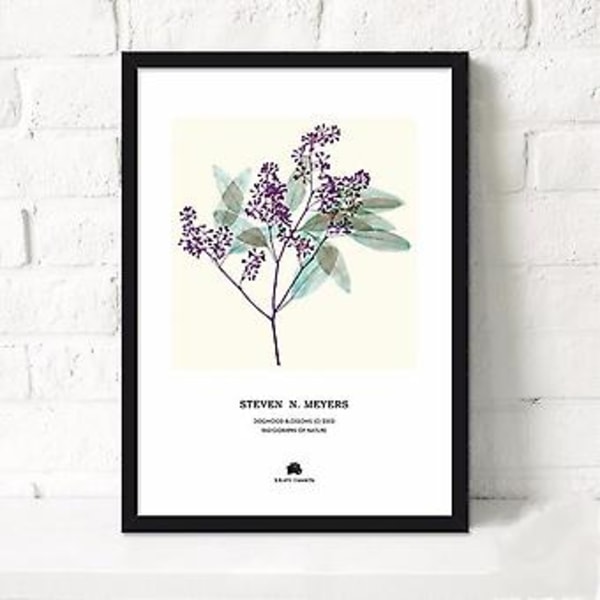 Wekity Pastoral Blomster Väggkonst Canvas Print Poster, Enkel Mode Vattenfärg Konst Ritning Dekoration för Hem Vardagsrum Sovrum Kontor och Barns Rum
