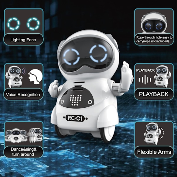 Mini Robot