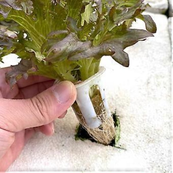 50 stk. Hydroponiske Soilløse Kulturpotter til Grøntsagsdyrkning Genanvendelige Plante-Børnehaver Netpotter til Plantevækst