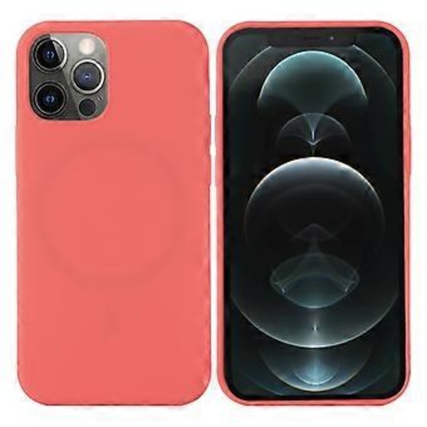Telefonhus til iPhone 13 Pro 6,1 tommer (Style C)