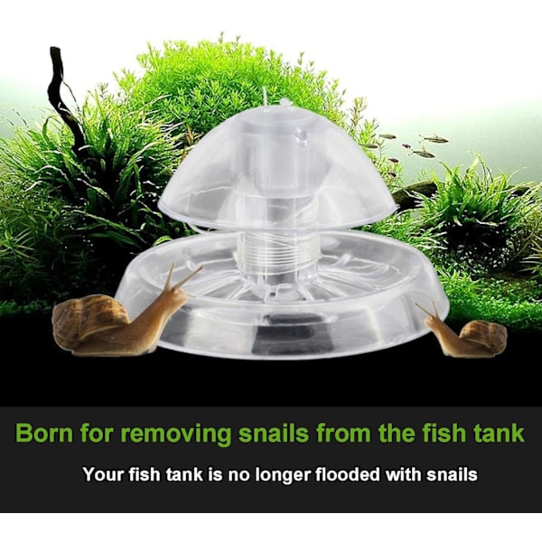 Sæt med 3 sneglefælder i plast til akvarium 8 cm