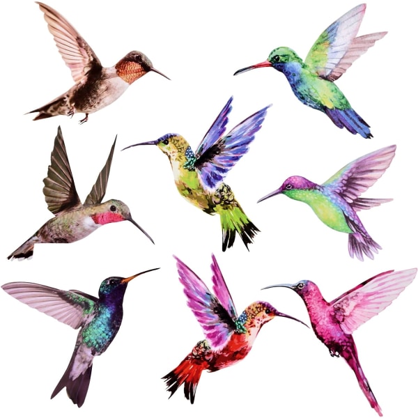 Kolibri-klistermärken, färgglada fönsterklistermärken, kolibri-fönster