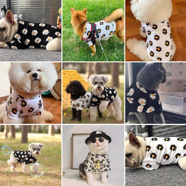 Sommar hundkläder Valp husdjurskläder Kläder för små medelstora hundar