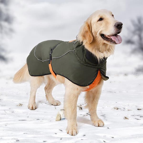 Vattentät hund vinter varm kappa reflekterande säker hundväst för utomhus