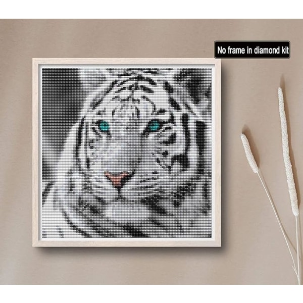 Diamond painting White Tiger 30*30cm, Animal Diamond Brodery D