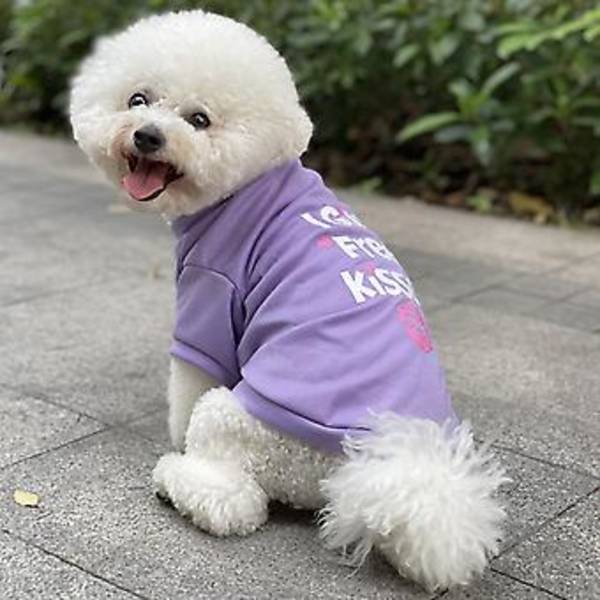 Hundeklæder til sommerhvalpe, t-shirt til hunde, vest til hund, blød sweatshirt til chihuahua, yorkshire, hundeklæder, str. 15 (M)