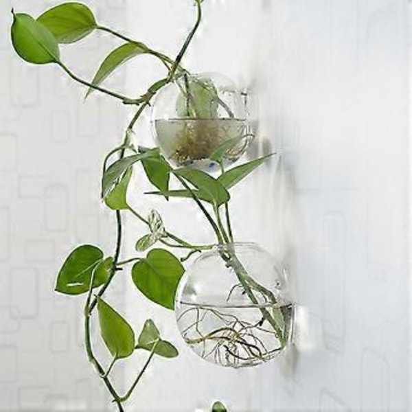 Hengende Planter Blomster Glassvase Vegg Hydroponisk Akvarium Beholder Hjemmeinnredning #1