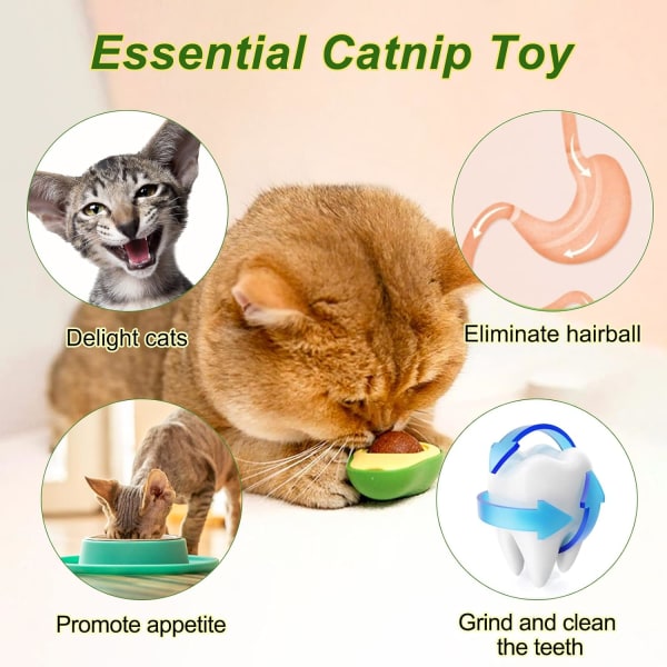 2 stk. Catnip-bold til katte - Catnip-bold til katte