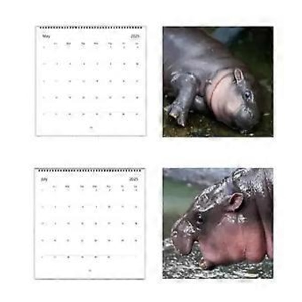 Moo Deng-Hippo 2025 Kalender Tjockt Papper 12 Månader Väggkalender Liten Anteckningsbok Kalender Present för Hemmet (B)