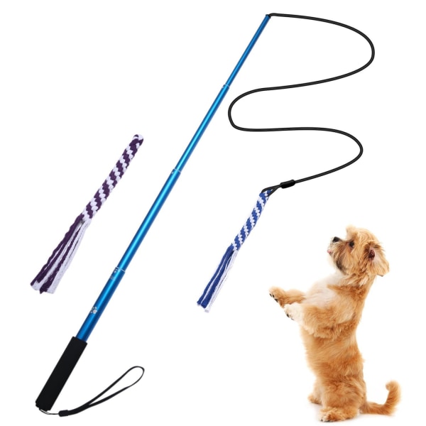 Bleu Flirt Pôle Chien Baguette Teaser Extensible pour Chien Jou