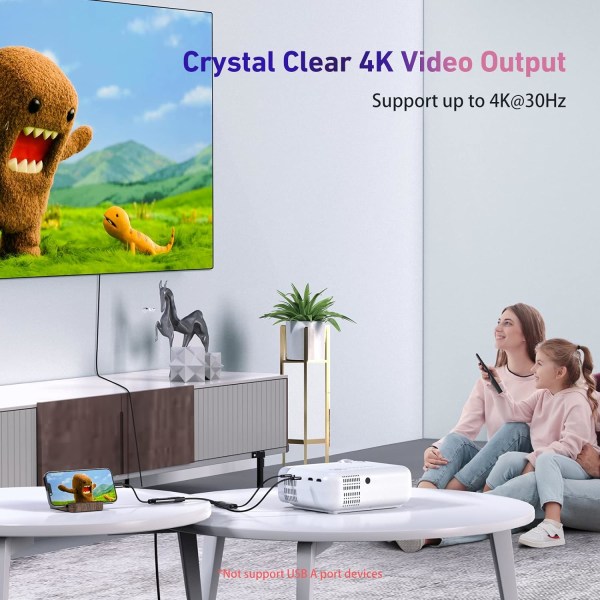 Grå USB Type C till HDMI 4k Adapter (Thunderbolt 3 kompatibel) w