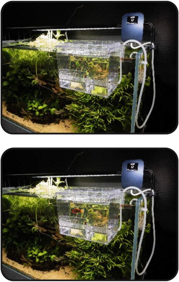 Fødselsrom for akvarium størrelse L