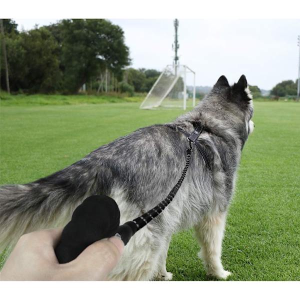 Hundetov i reb, nylon hundetov med håndtag