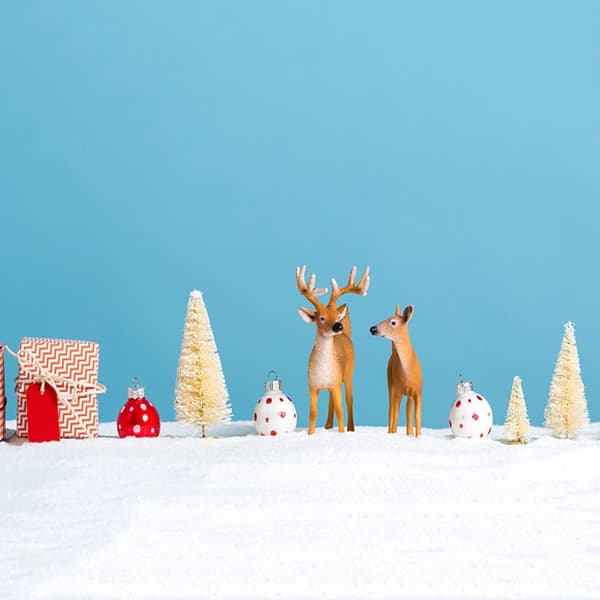 9 st miniatyrjulgranar, miniatyrjulgran, mini