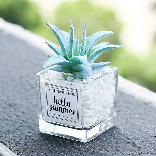 Mini blød glas bonsai kunstig sukkulent potteplante (ananas