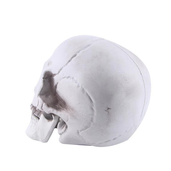 Kranium Hoved Halloween Dekoration Prop Horror Funky Simulation Haun