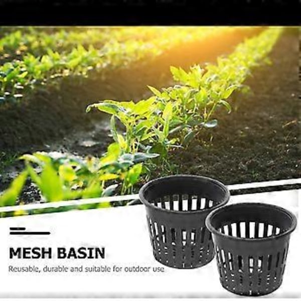 10 st Plast Sukkulenter Kruka Mini Nät Multi-små Planteringsbassäng Hydroponisk Nätkopp Rund Sukkulenter Blomkruka Trädgård Tillbehör (Svart)