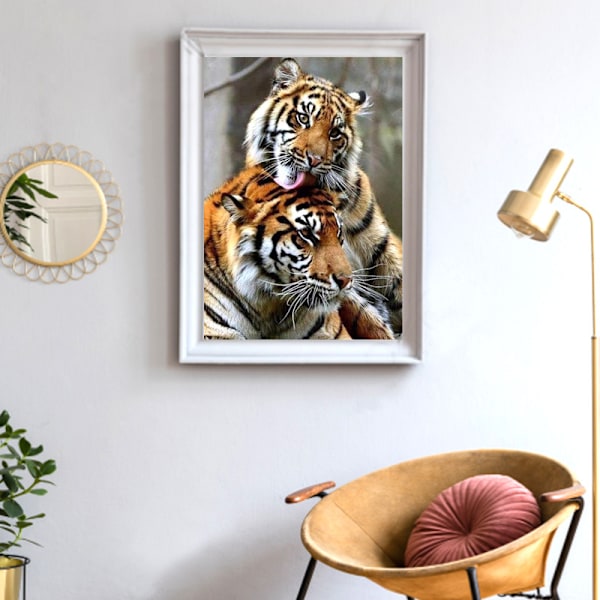 (30x40cm)Uusi 5D timanttimaalaus Eläin Täynnä timantteja Vanha