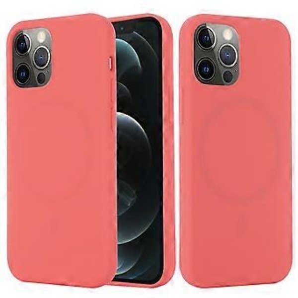 Telefonhus til iPhone 13 Pro 6,1 tommer (Style C)