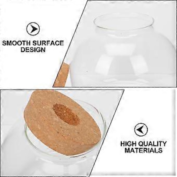 1 Set Glas Terrarium Behållare DIY Ekologisk Växtflaska Glas Växtterrarium