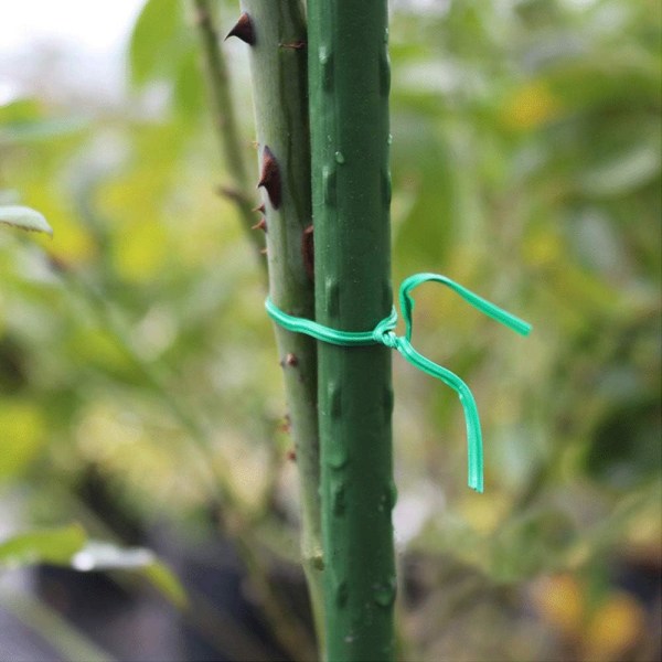 100m Grønn Hage, Plante Vridbånd, Plastbelagt Tråd med Kutt