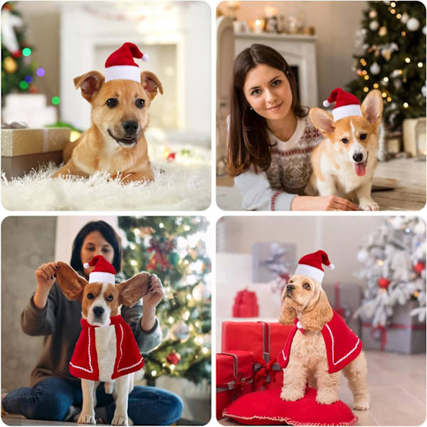 Husdjurs julhatt, husdjurs julhalsduk, katt hund juldräkt, f