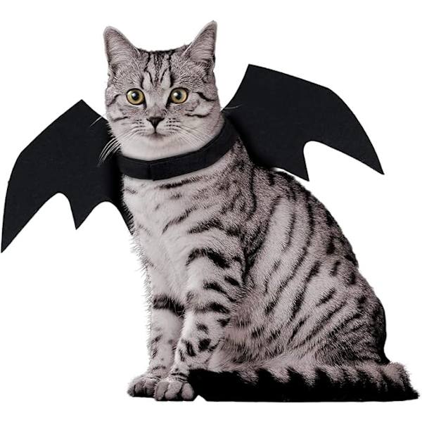 Fladdermusvingar för husdjur, katt, Halloween-festdekoration, valp Cosplay B