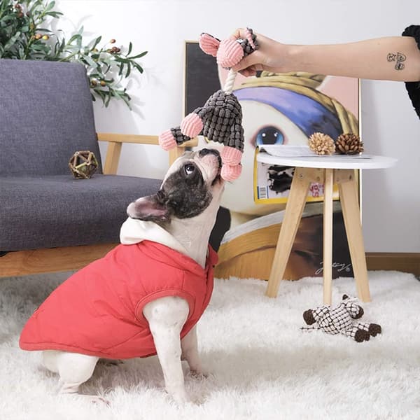 Plysdyr til hundehvalpe, 3 stk. holdbare udstoppede dyr
