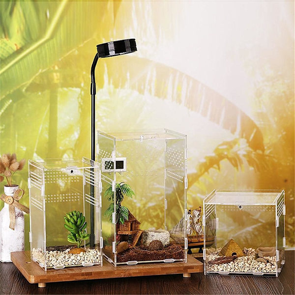Terrarium til reptiler, insekter, firben, slanger og edderkopper