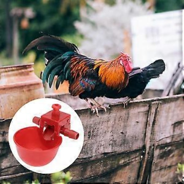 15 kpl Automaattinen Juomakuppi Siipikarjan Kasvatukseen, Säädettävä Virtaus Juomakuppi Koti- ja Kauppa-Käyttöön Kyyhkyille, Kanoille (Punainen)
