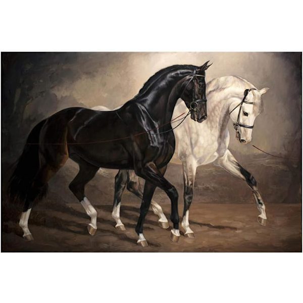 5D timanttimaalaus Hevonen 30x40cm (Tyyli 3)