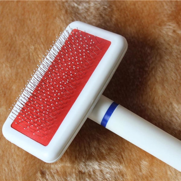 Brosse pour chien peigne pour animaux de compagnie peigne chiot c