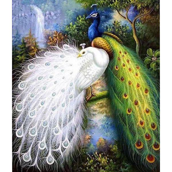 30 x 40 cm ,paon blanc et paon vert Diamond Painting Broderie D