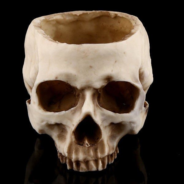 Harpiks Kranie Blomsterpot Kranie Vase Harpiks Hoved Model til Halloween