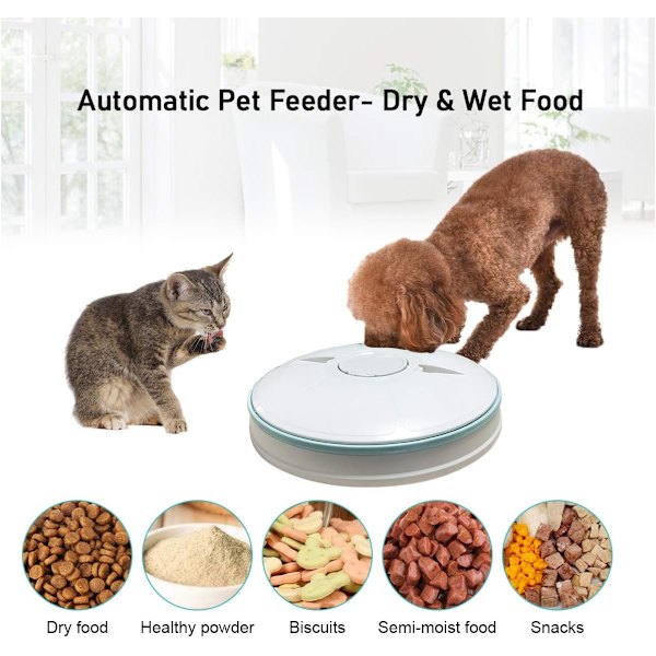 Automatisk kæledyrsfoder til katte, hunde, kaniner, små dyr, 6 Dr