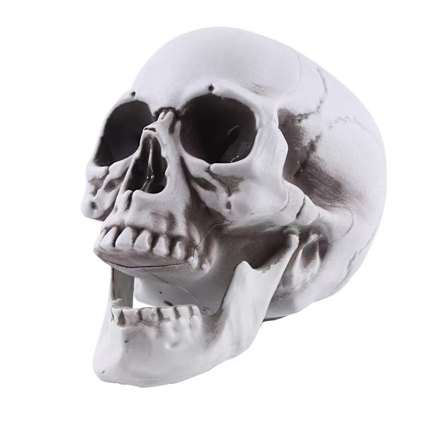 Kranium Hoved Halloween Dekoration Prop Horror Funky Simulation Haun