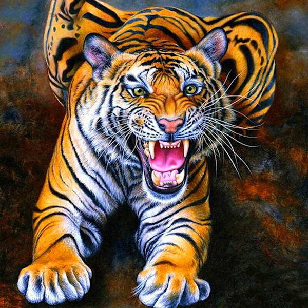 30 x 40 cm, tiikeri Diamond Painting Kirjonta Timantti Maalaus