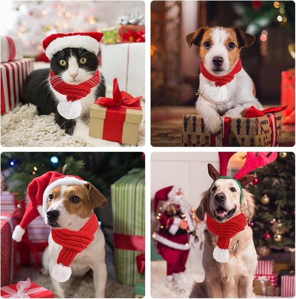 (Stor) Julehundekatt Santa-skjerf, Hundevinterstrikket skjerf P