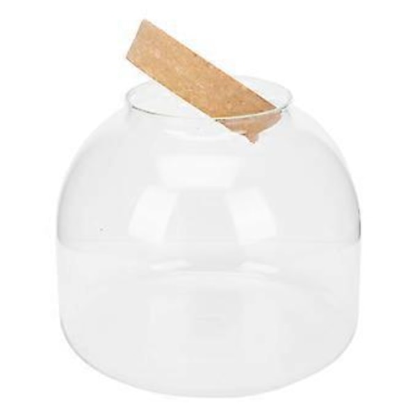 1 Set Glas Terrarium Behållare DIY Ekologisk Växtflaska Glas Växtterrarium