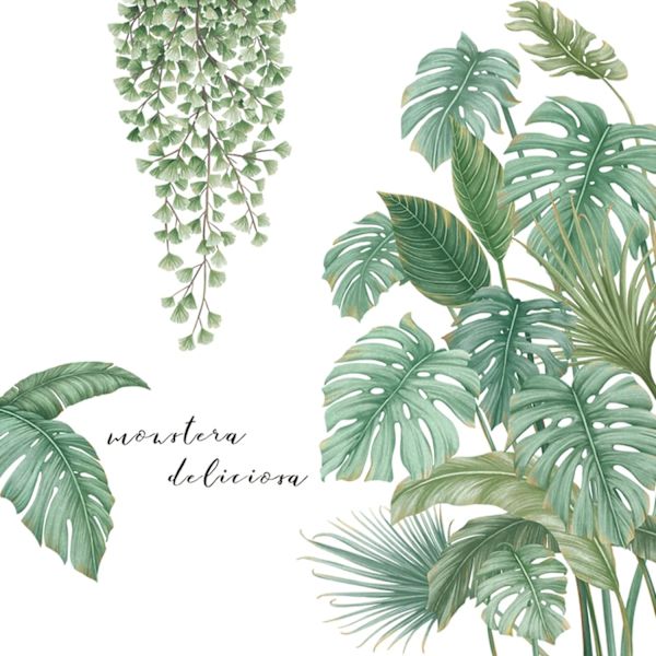 Stickers Muraux Plante Tropical Autocollant, Autocollant Mural