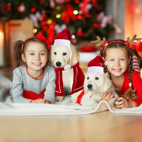 Husdjurs julhatt, husdjurs julhalsduk, katt hund juldräkt, f