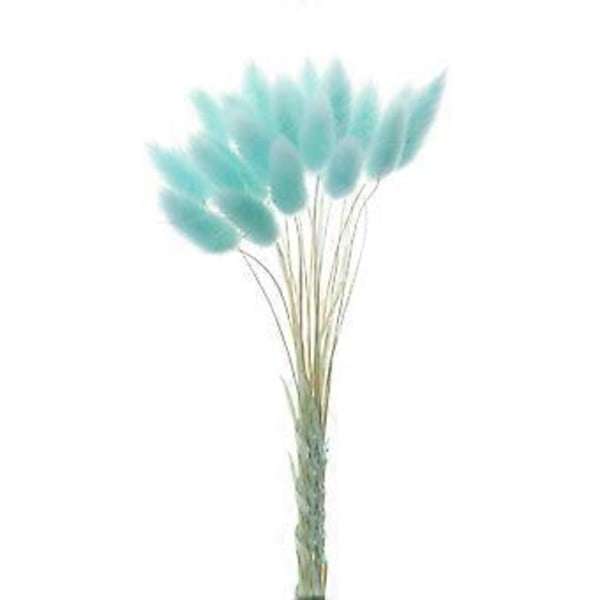 Boho Hjemmeinnredning Tørkede Blomsterarrangementer Naturlig Pampasgress, Rør,( blå)