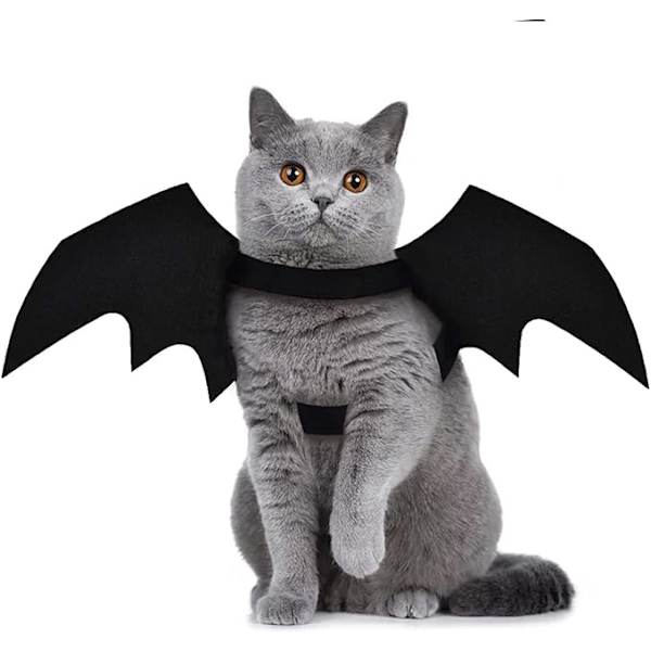 Fladdermusvingar för husdjur, katt, Halloween-festdekoration, valp Cosplay B