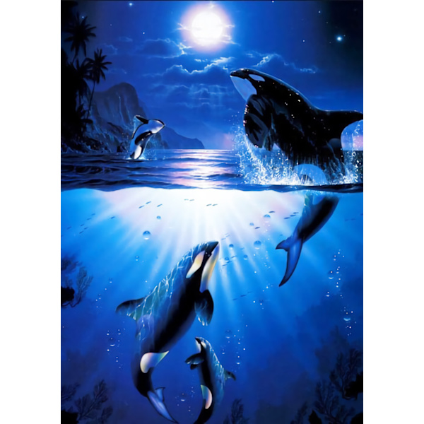 Malt 30*40cm 5D Diamant Full Diamant Korssting (16)Dolph